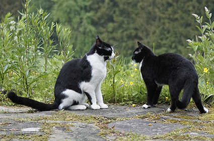 Man kennt sich, auch namentlich