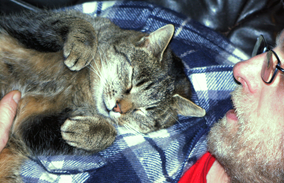 Körperkontakt und Schmusen mit "ihrem" Menschen sind den meisten Katzen enorm wichtig Katze schmust mit Mann