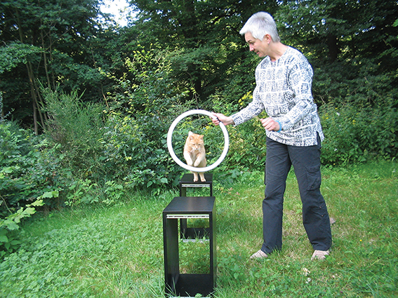 "Clickerfreak" Christa mit Birgit Rödder beim Sprung durch einen Reifen Katze springt durch Reifen