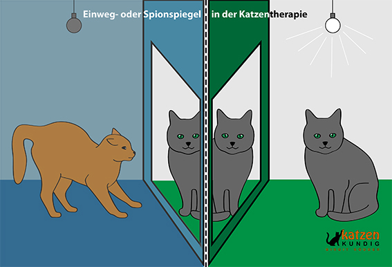 Der Spion- oder Einwegspiegel als katzenkundiges Tool in der Katzenverhaltenstherapie Spion- oder Einwegspiegel in der Katzenverhaltenstherapie